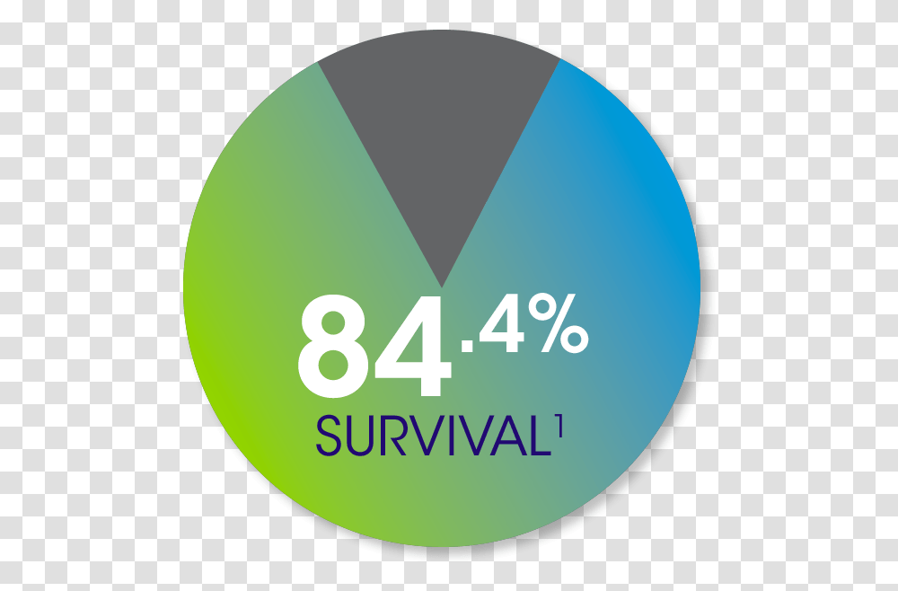 4 Survival Circle, Label, Word, Sphere Transparent Png