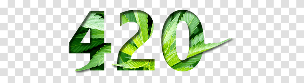 420, Animal, Plant, Snake, Reptile Transparent Png