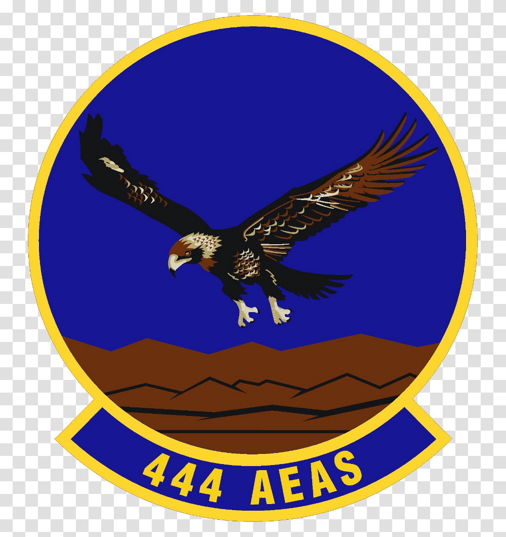 444th Air Expeditionary Advisory Squadron 451 Flying Training Squadron, Eagle, Bird, Animal, Vulture Transparent Png