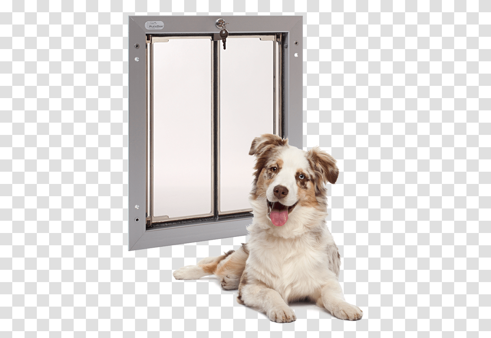 4k Letterbox Side Opening Cat Door, Dog, Pet, Canine, Animal Transparent Png