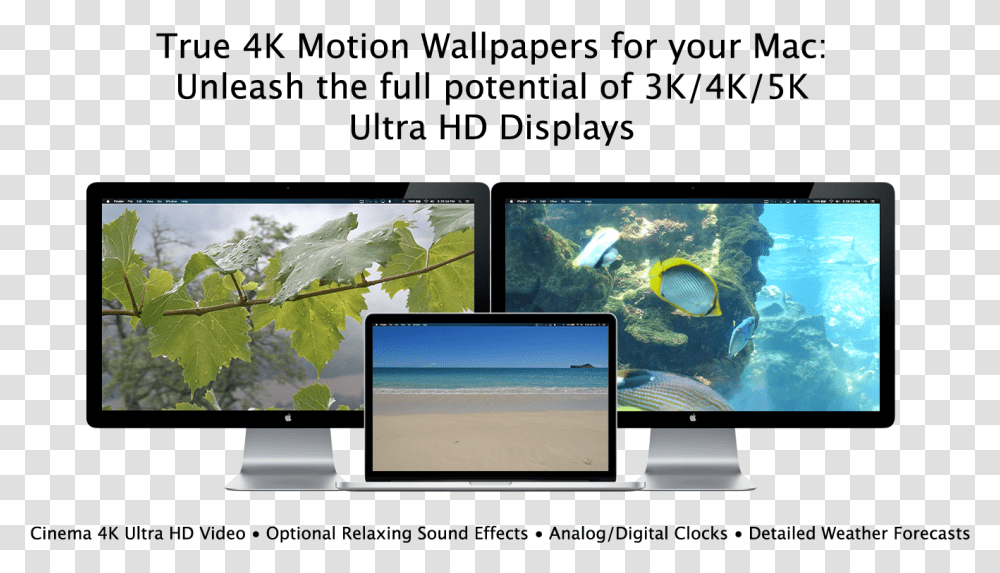 4k Resolution, Monitor, Screen, Electronics, LCD Screen Transparent Png