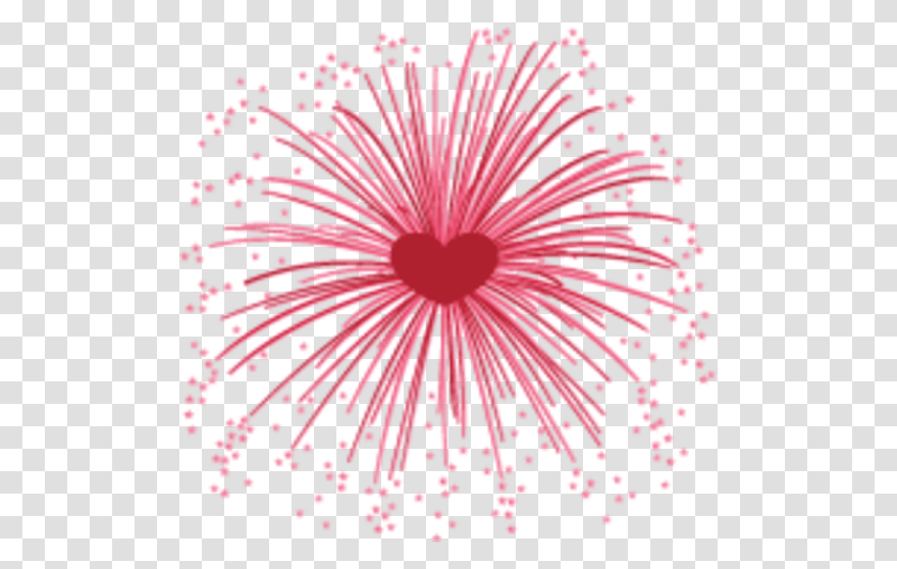4th Of July Fireworks Clip Art Download Firework, Plant, Flower, Nature, Outdoors Transparent Png