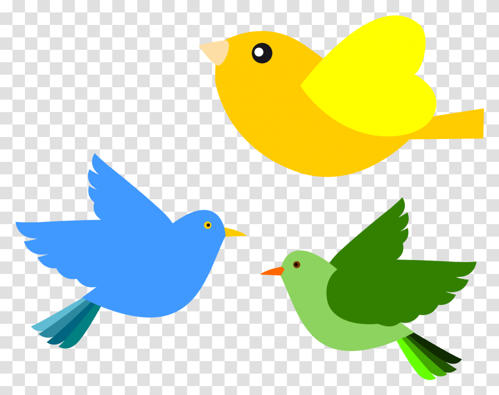 555px Clipart Flying Bird, Animal, Canary, Finch, Green Transparent Png