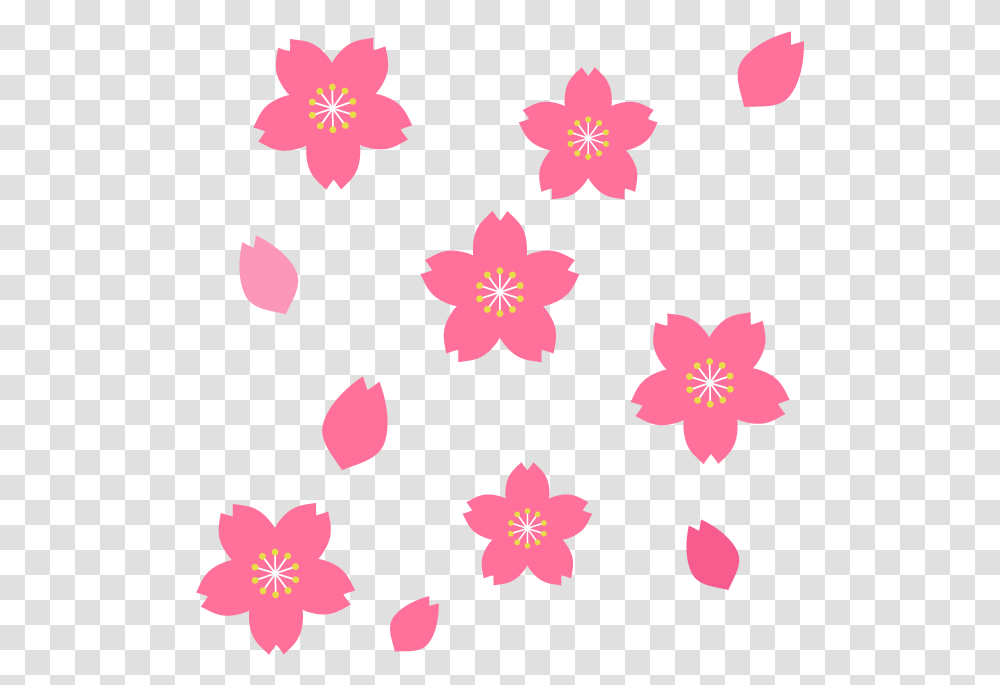 Good Sakura, Petal, Flower, Plant, Blossom Transparent Png