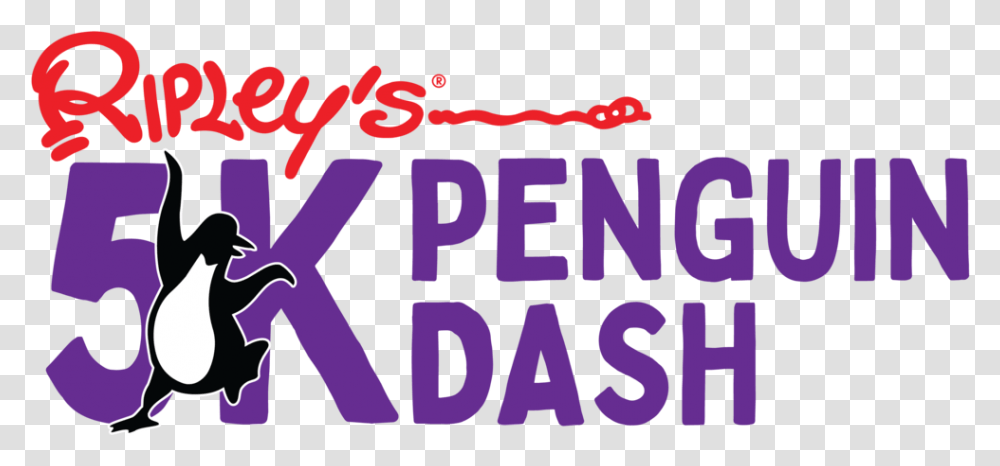 5k Penguin Dash 01 Poster, Alphabet, Label, Word Transparent Png