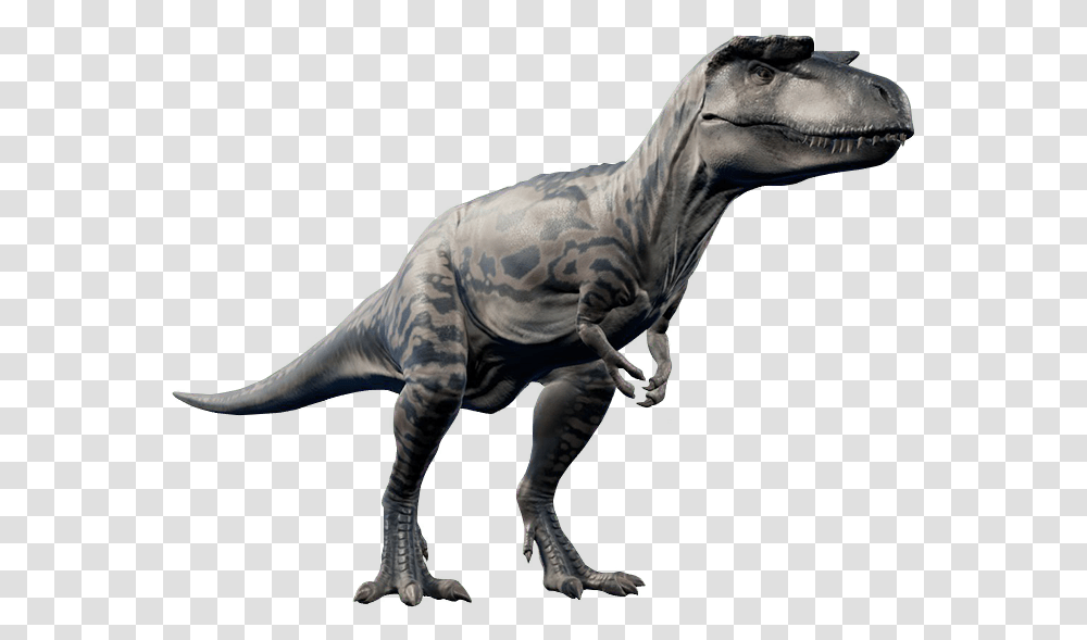 Dinosaur, T-Rex, Reptile, Animal, Zebra Transparent Png