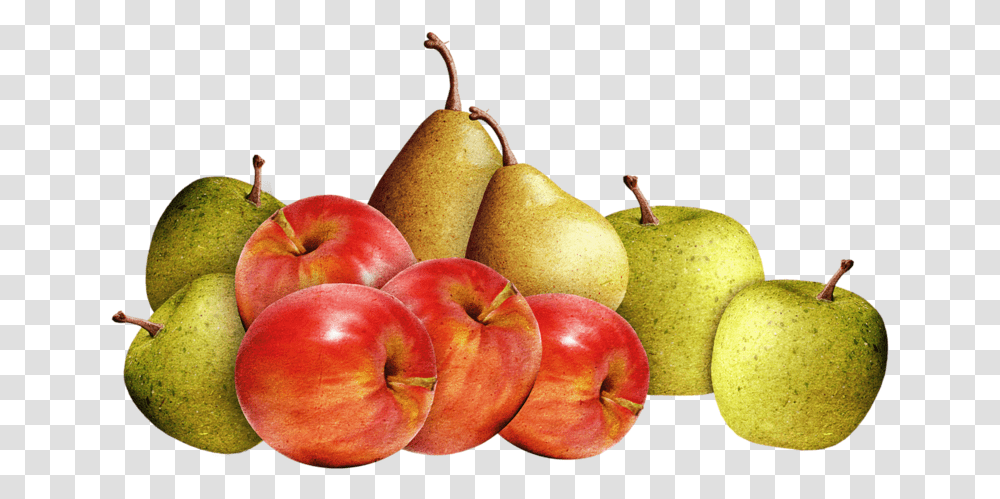 770e2 5b8e17a4 Xl Yabloko Grusha, Plant, Fruit, Food, Apple Transparent Png
