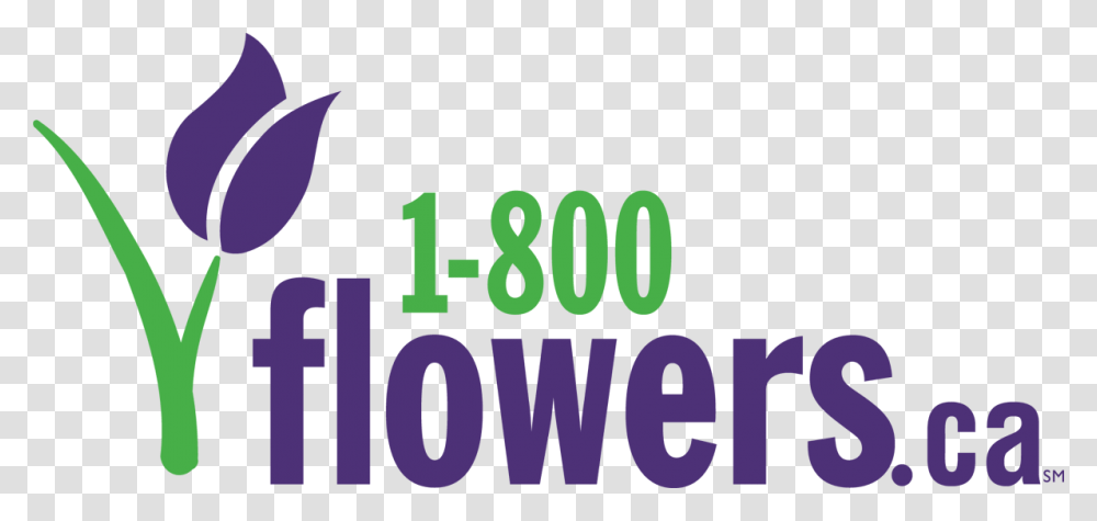800 Flowers Canada Coupon Codes 1800 Flowers Logo, Number, Clock Transparent Png
