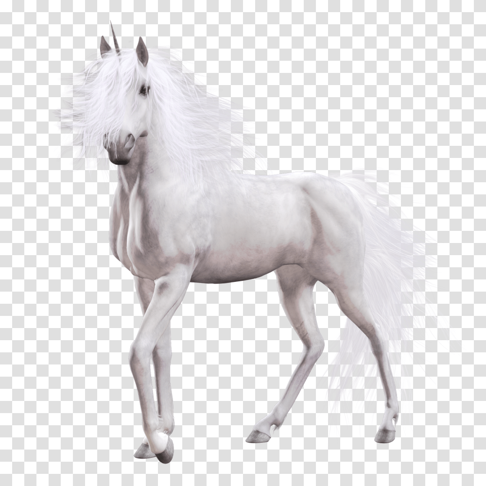 8ea92 Orig, Fantasy, Horse, Mammal, Animal Transparent Png