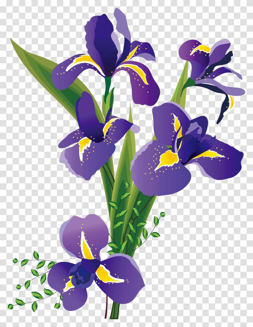 9861294 Flower Painting Iris Flowers Iris Sibirica Flower Illustration, Plant, Blossom, Purple Transparent Png