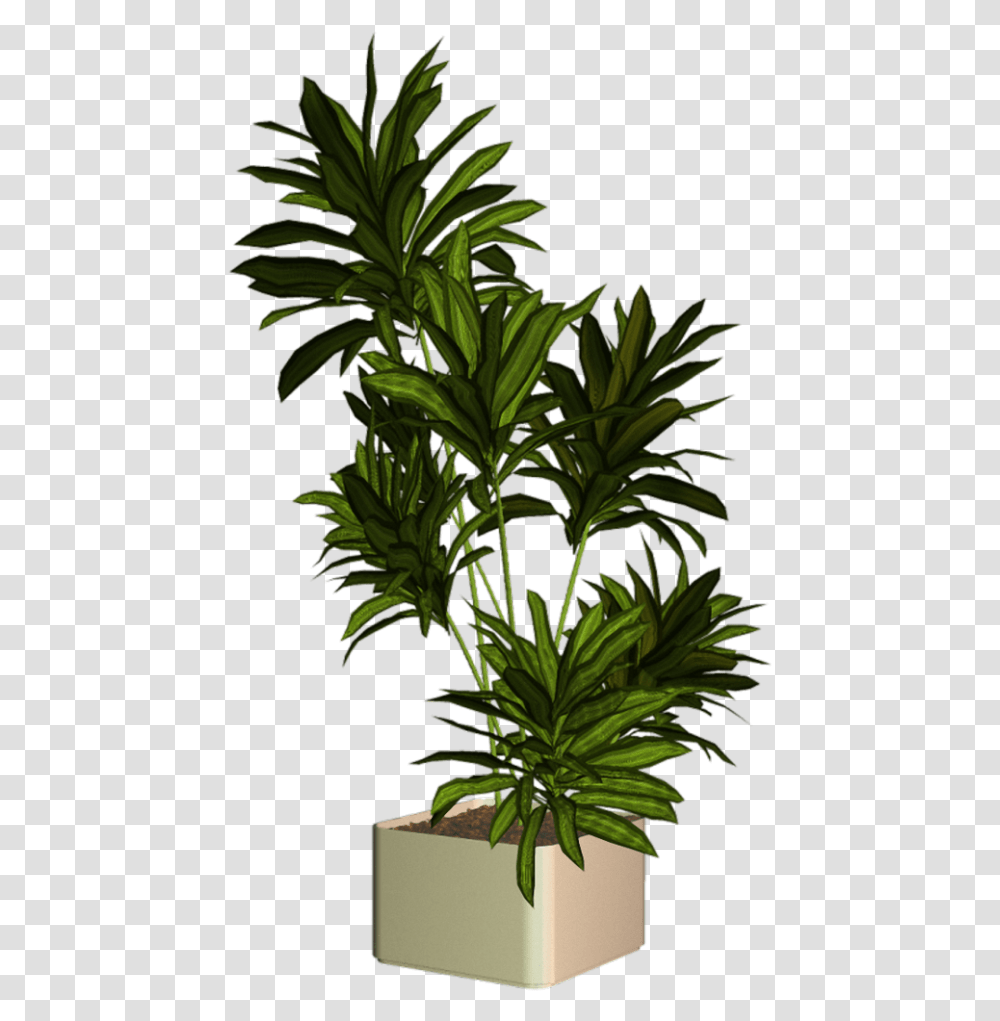 9ddc0 Xxl Cut Out People Greenery Entourage Plantas, Leaf, Acanthaceae, Flower, Tree Transparent Png