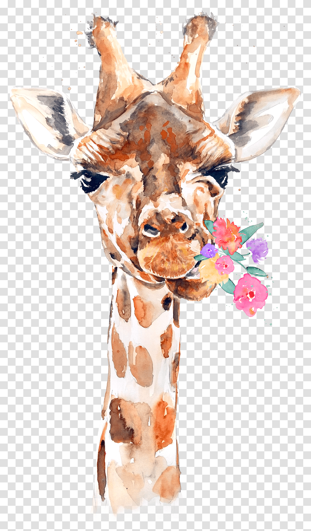 9gag Watermark Flowers Giraffe, Wildlife, Mammal, Animal, Cow Transparent Png