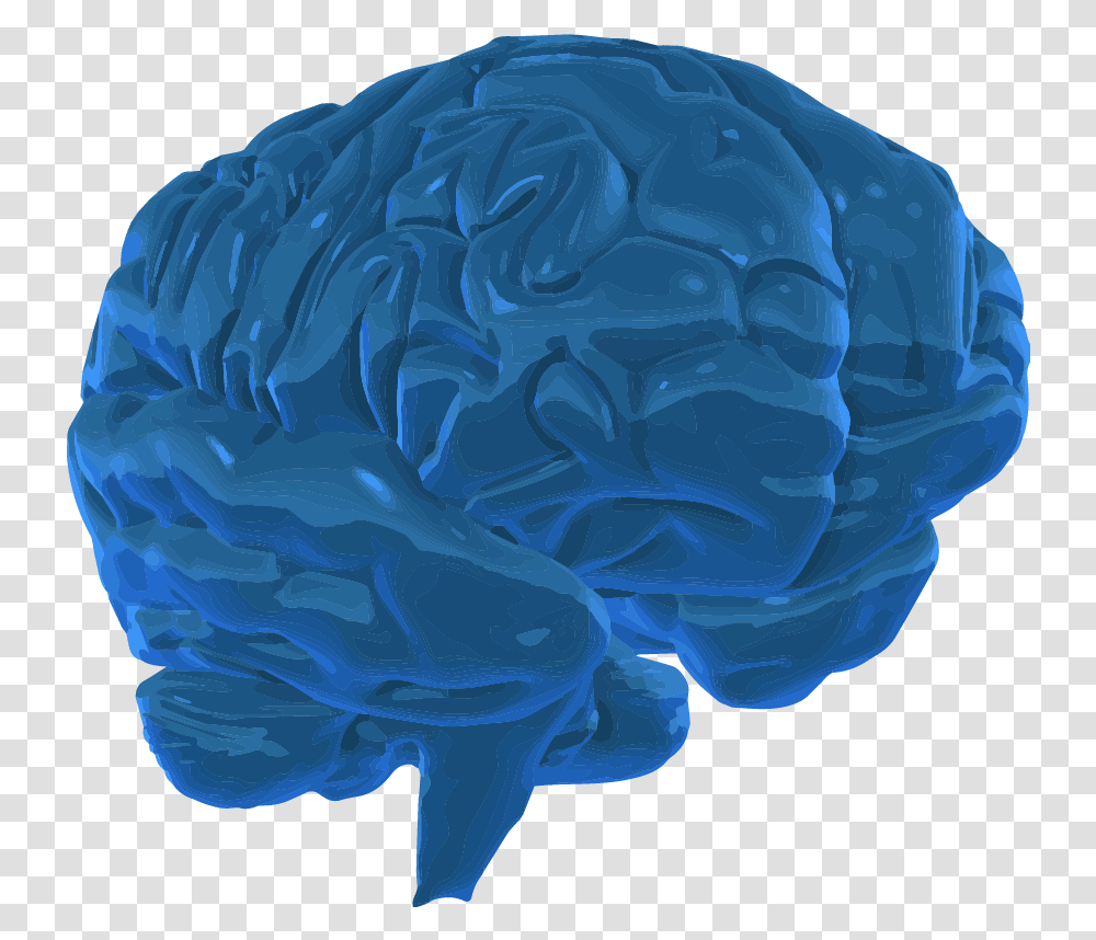 A 3d Graphic Image Of The Human Brain 3d Brain Think Background, Sphere, Hood, Mineral Transparent Png