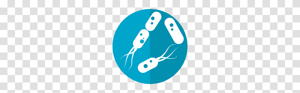 A Bacterial Role In High Blood Pressure, Footprint Transparent Png