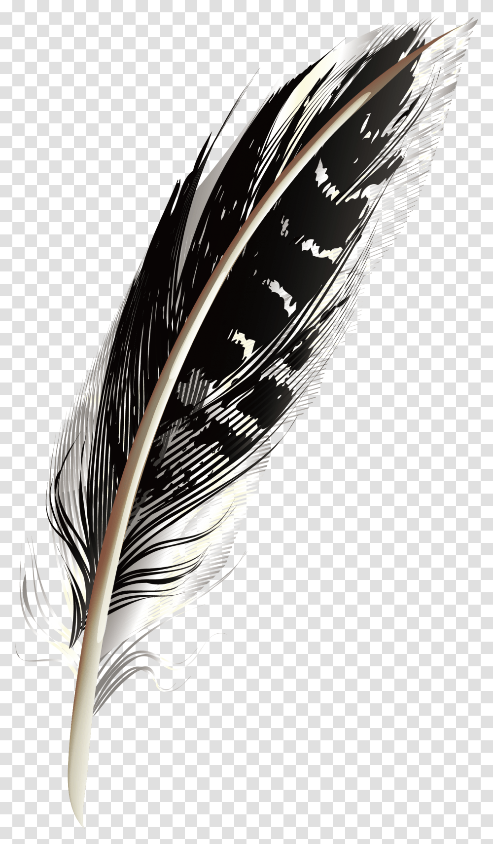 A Black Pattern Feathers Download Black Feather, Bottle, Ink Bottle, Leaf, Plant Transparent Png