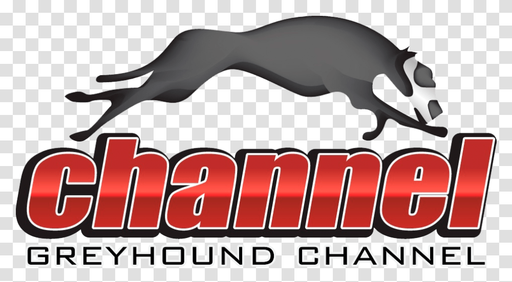 A Blog Covering A Variety Of Topics On Greyhound Racing Jaguar, Animal, Mammal, Bird, Wildlife Transparent Png