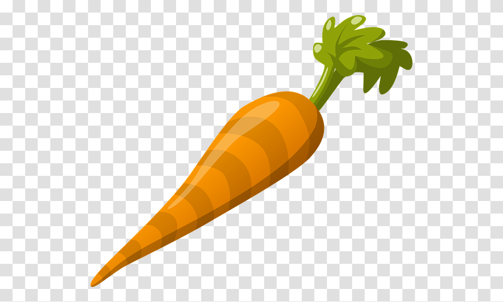 A Brief History Of The Carrot Professional Moron, Plant, Vegetable, Food, Baseball Bat Transparent Png