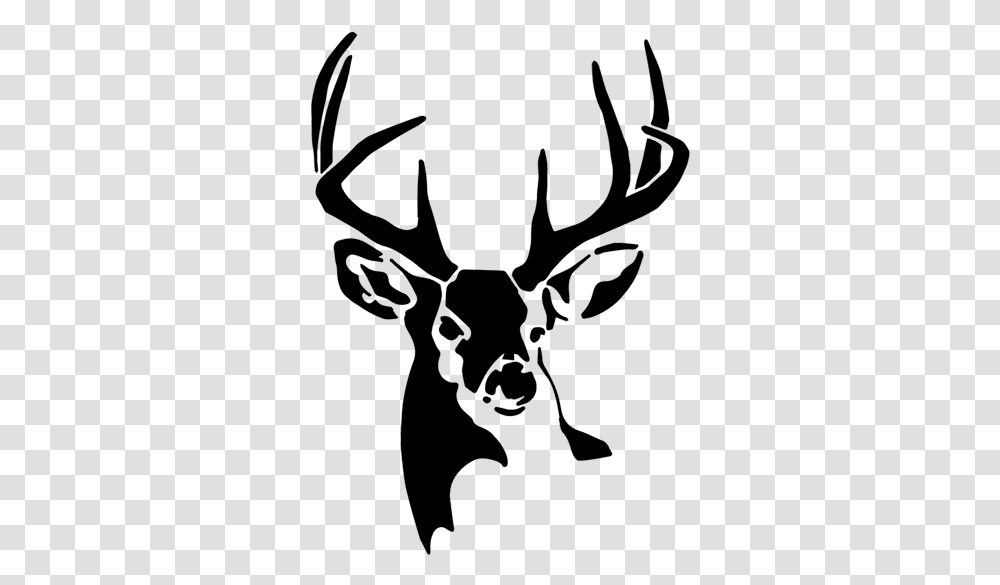 A Buck For A Cause, Antler, Deer, Wildlife, Mammal Transparent Png