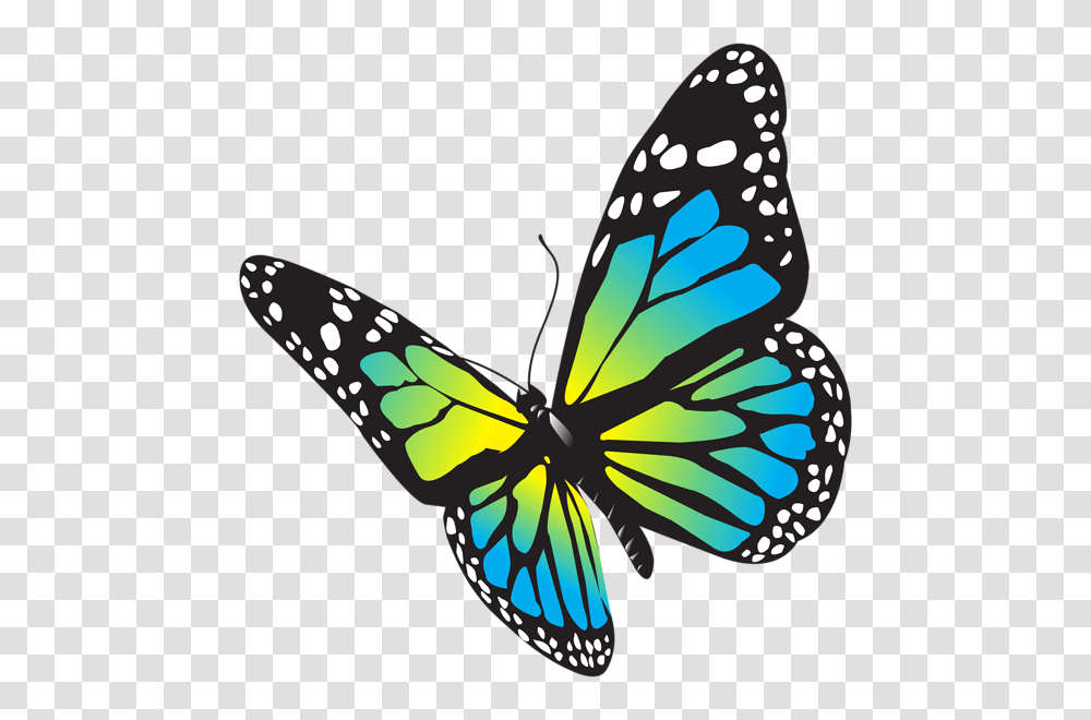 A Butterfly Butterfly, Insect, Invertebrate, Animal, Monarch Transparent Png