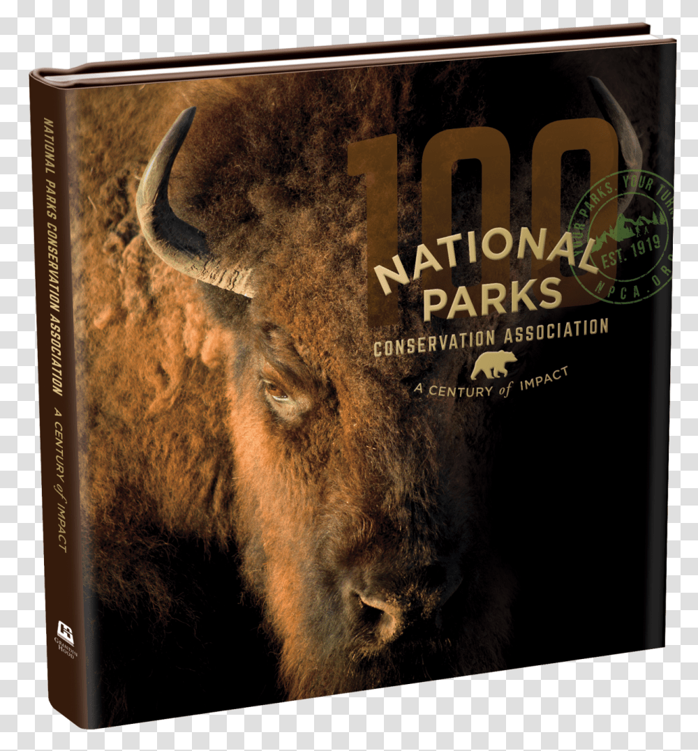 A Century Of ImpactClass Img Responsive True Close Up Of A Buffalo, Mammal, Animal, Bison, Wildlife Transparent Png