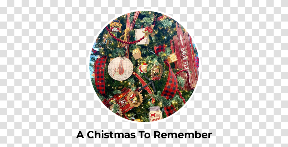 A Christmas To Remember For Holiday, Tree, Plant, Landscape, Outdoors Transparent Png