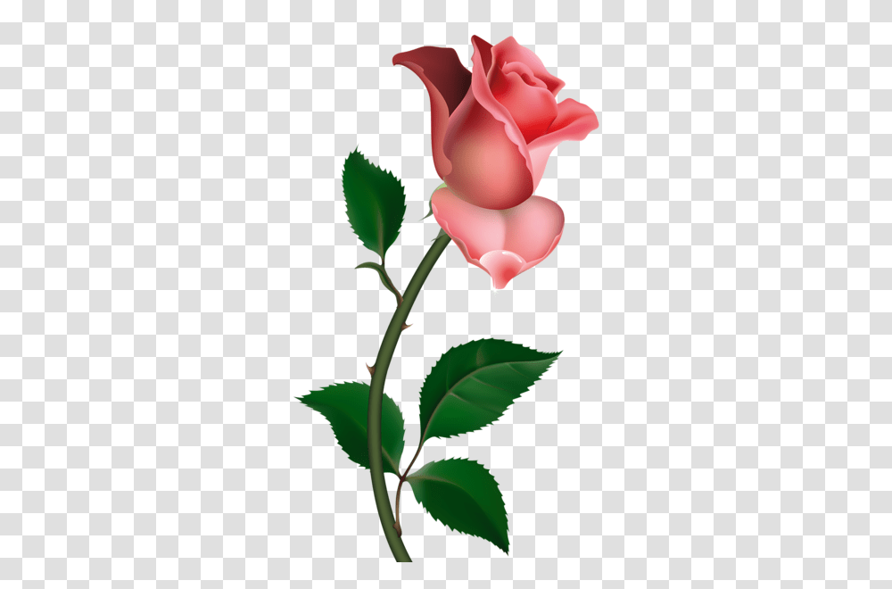A Cliparts Fleurs Rose Clip Art, Plant, Petal, Flower, Leaf Transparent Png