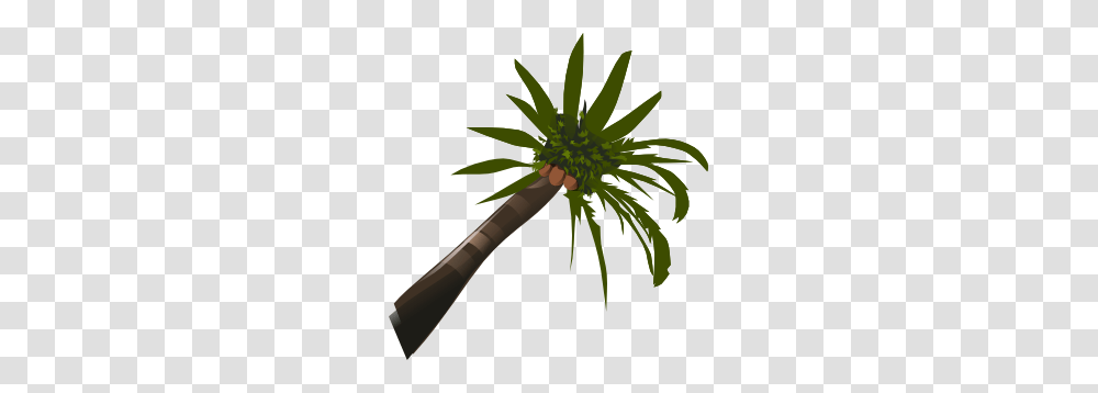 A Coconut Palm Clip Art Is, Palm Tree, Plant, Arecaceae Transparent Png