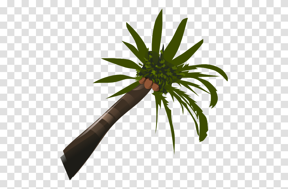 A Coconut Palm Clip Art, Palm Tree, Plant, Arecaceae Transparent Png