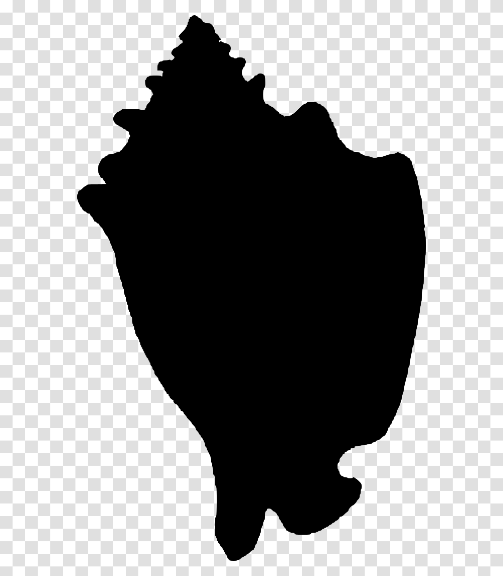 A Conch To Represent Shells, Gray, World Of Warcraft Transparent Png