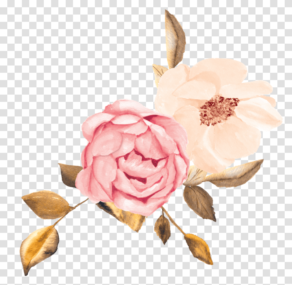 A Copy Rose Gold Flowers Clipart, Plant, Petal, Blossom, Peony Transparent Png