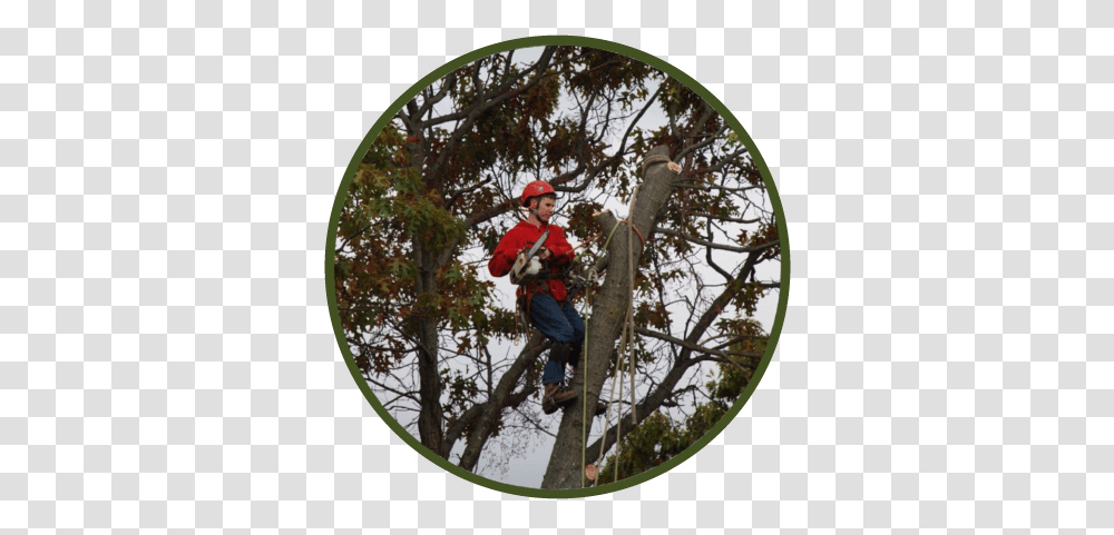 A Cut Above Tree Service Llc Extreme Sport, Person, Human, Clothing, Apparel Transparent Png