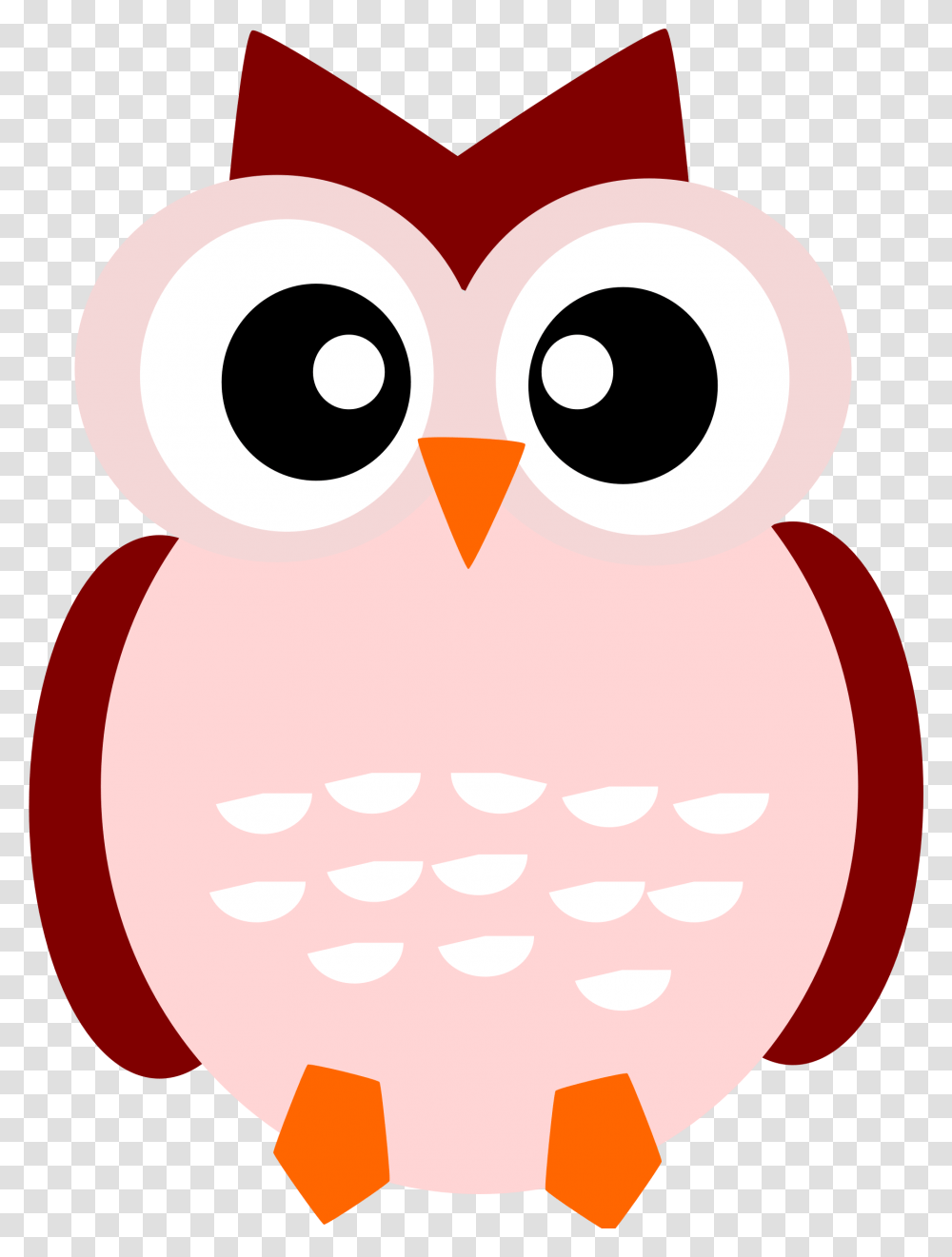 A Cute Owl, Animal, Bird, Beak, Eagle Transparent Png