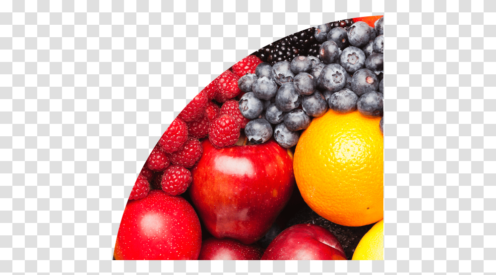 A Detailed Guide To Using Myplate Plus Frutas Chilenas De Exportacion, Plant, Orange, Citrus Fruit, Food Transparent Png