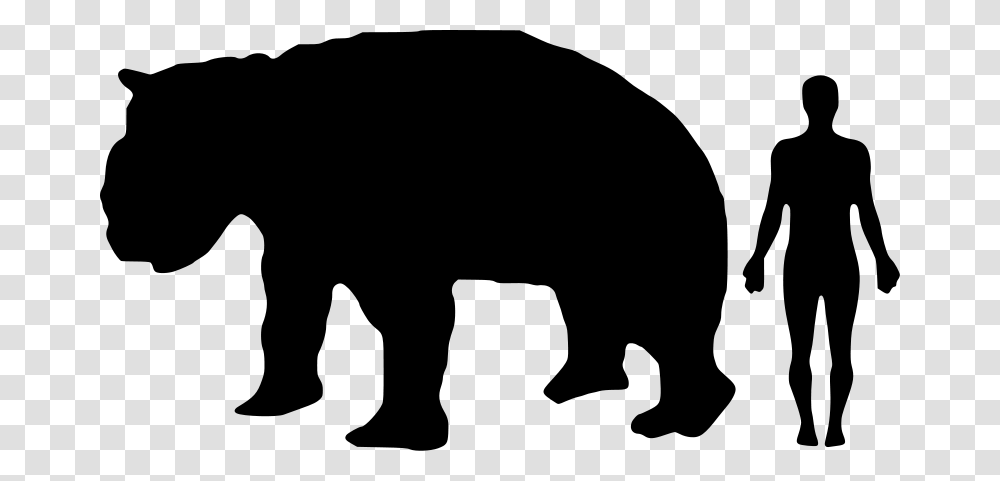 A Diprotodon Size Compared To Modern Human Giant Panda Compared To Human, Gray, World Of Warcraft Transparent Png