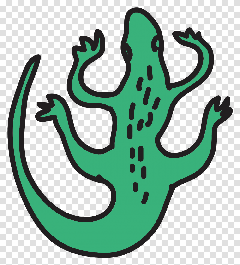 A Drawing Of A Alligator Head, Hook, Amphibian, Wildlife, Animal Transparent Png