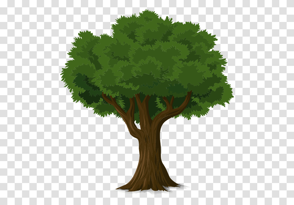 A Dying Tree A Dying Tree Images, Plant, Bush, Vegetation, Bird Transparent Png