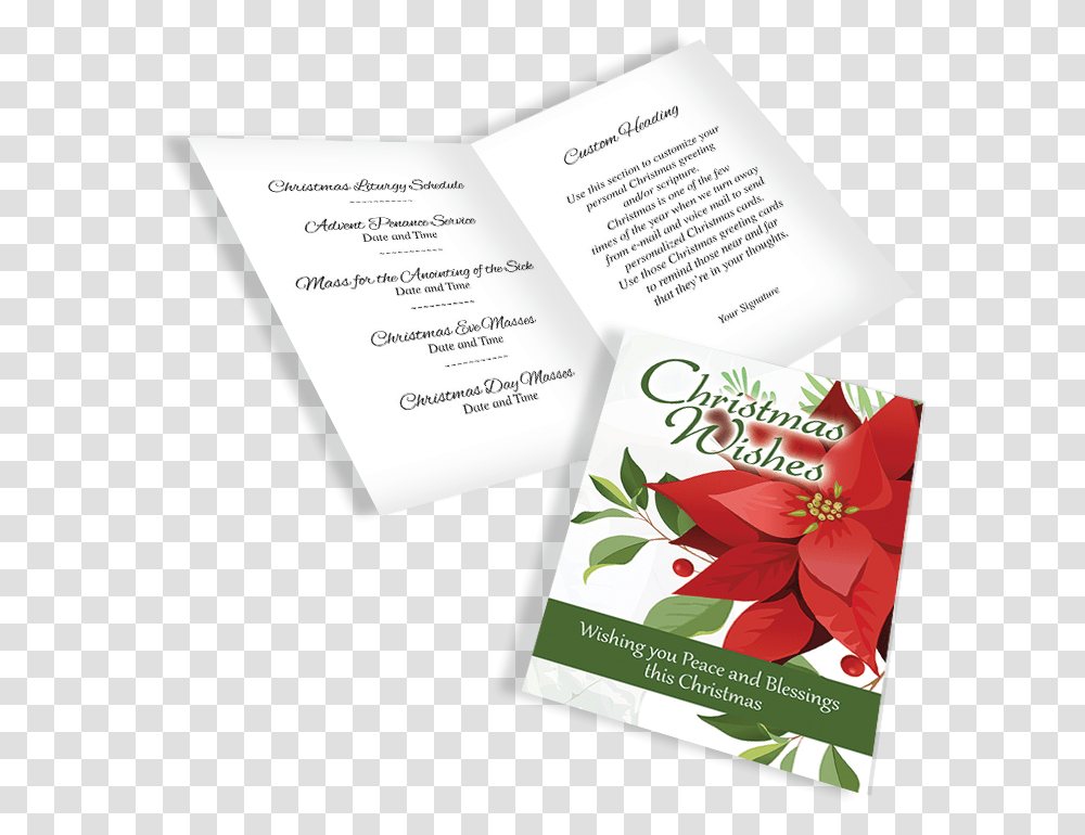 A Eng Display Poinsettia, Flyer, Poster, Paper, Advertisement Transparent Png