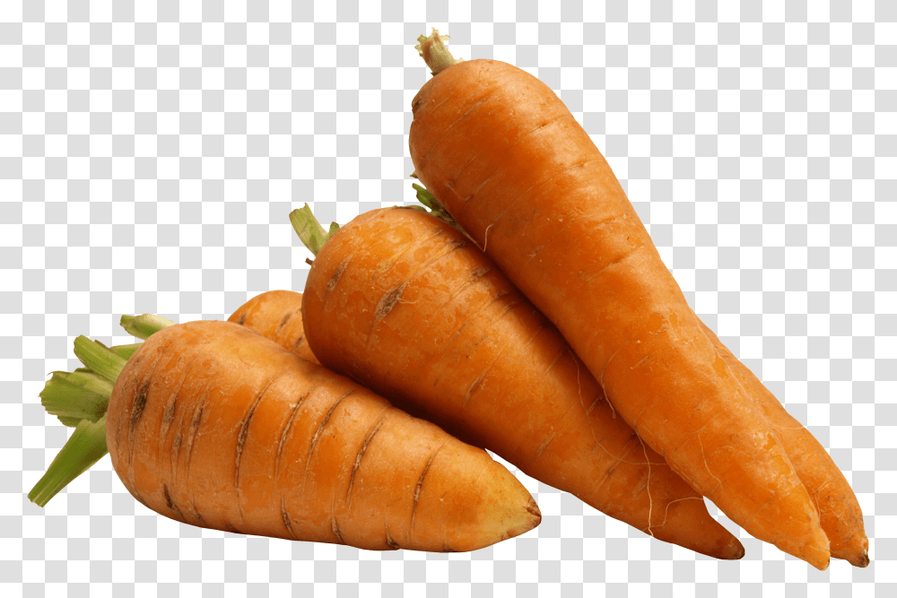 A Few Carrots Carrot, Plant, Vegetable, Food, Hot Dog Transparent Png