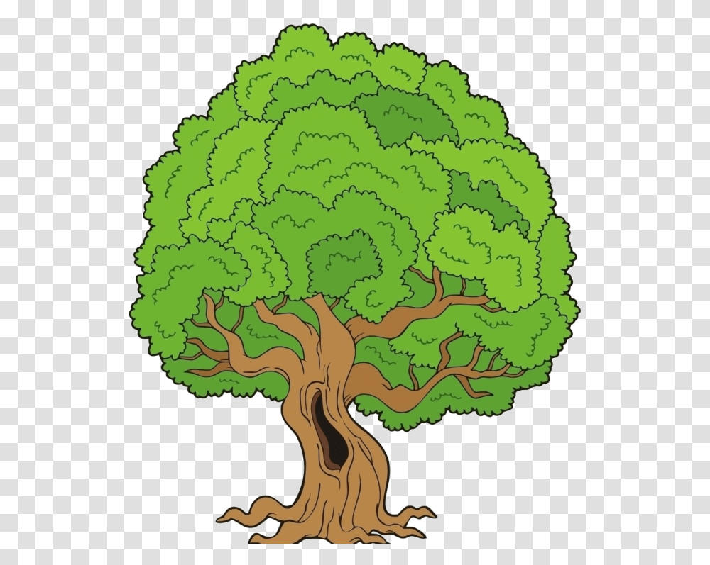 A Filha Da Rvore Plants And Trees Clipart, Root, Vegetation, Moss, Plot Transparent Png