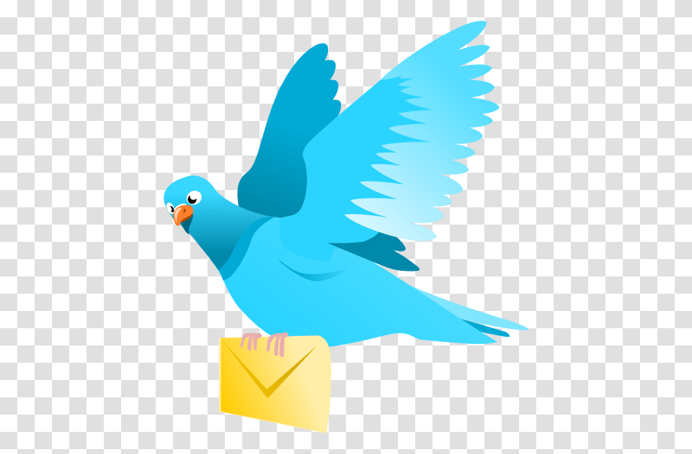 A Flying Pigeon Delivering A Message Clip Art, Bird, Animal, Jay, Bluebird Transparent Png