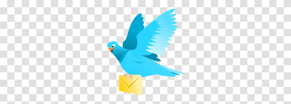 A Flying Pigeon Delivering A Message Clip Art For Web, Bird, Animal, Dove, Jay Transparent Png