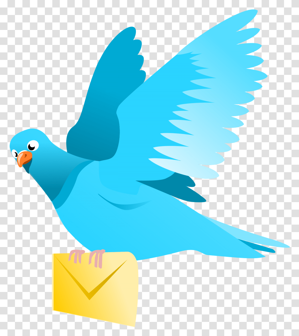 A Flying Pigeon Delivering A Message Clip Arts Flying Bird Clipart, Animal, Shark, Sea Life, Fish Transparent Png