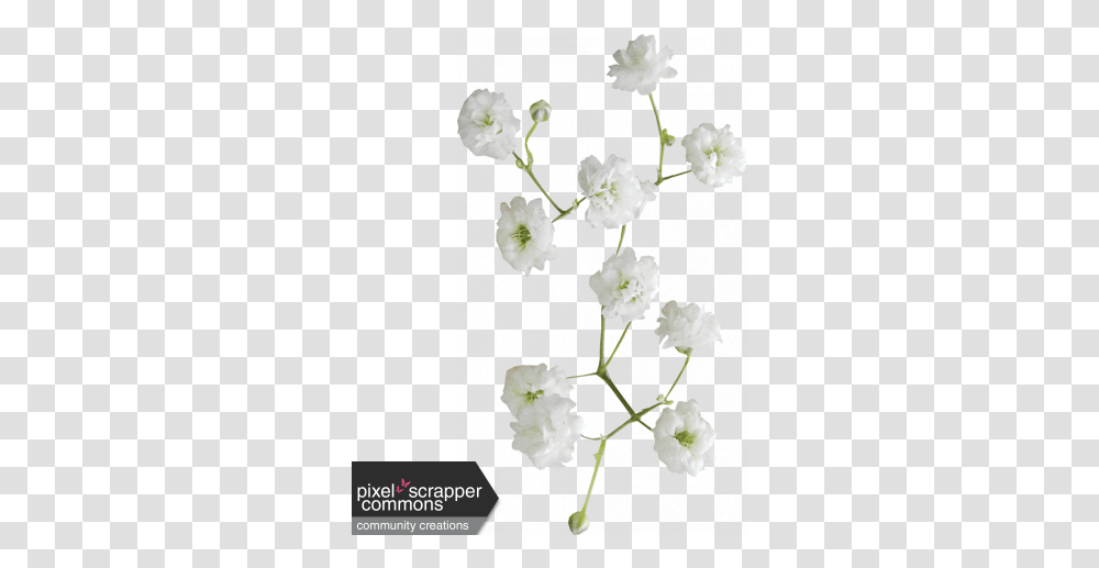 A Girl Thing Flower 01 Graphic By Sharon Grant Artificial Flower, Plant, Blossom, Petal, Anther Transparent Png