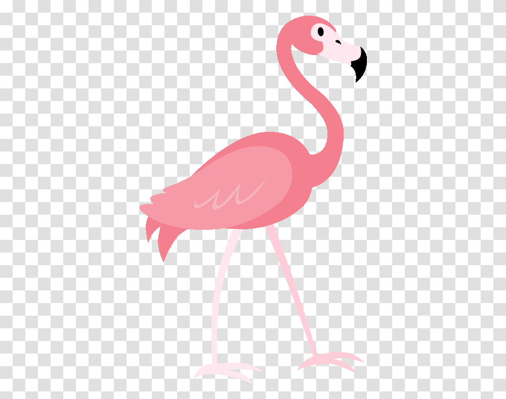 A Go New Orleans Animated Flamingo Gif, Bird, Animal Transparent Png