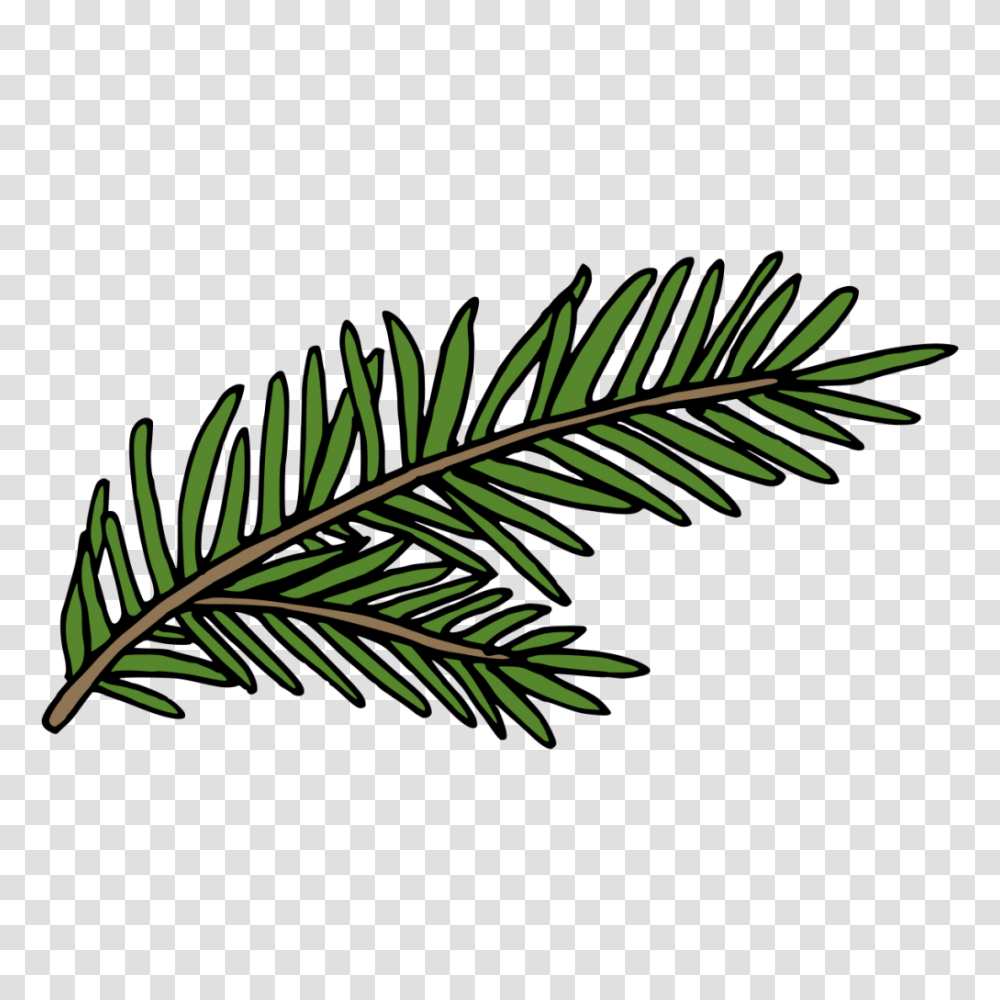 A Hand Painted Green Fern Winter Decorative Free, Leaf, Plant, Flower, Blossom Transparent Png