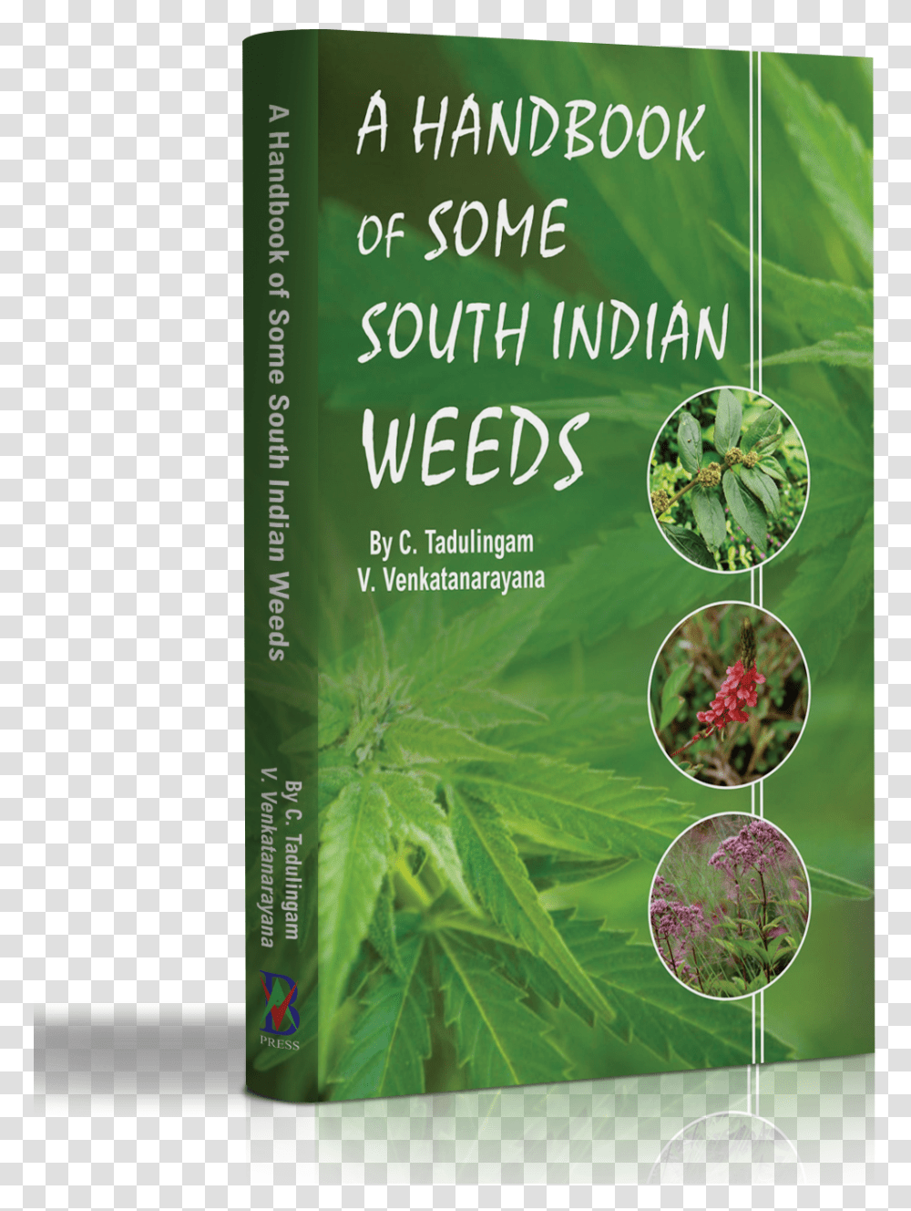 A Handbook Of Some South Indian Weeds Herbal, Potted Plant, Vase, Jar, Pottery Transparent Png