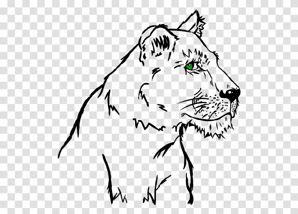 A Lioness Download Illustration, Light, Laser, Flare Transparent Png