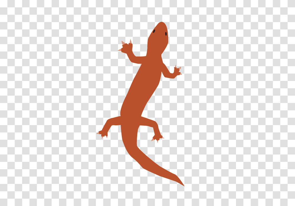 A Lizard Clip Art Material Free Illustration Image, Animal, Salamander, Amphibian, Wildlife Transparent Png