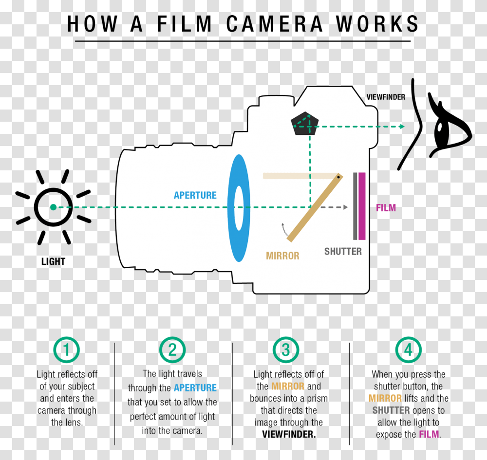 A Mirror Within The Camera Body That Is Diagonally Diagram Film Camera How It Works, Plot, First Aid, Measurements Transparent Png