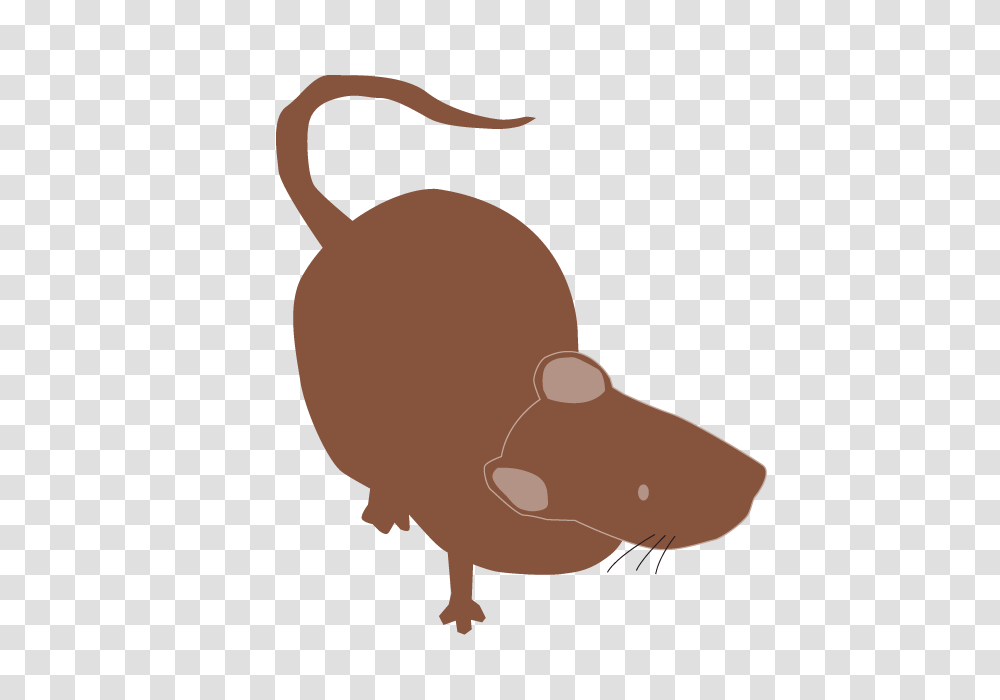 A Mouse Clip Art Material Free Illustration Image, Animal, Mammal, Rodent, Buffalo Transparent Png